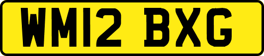 WM12BXG