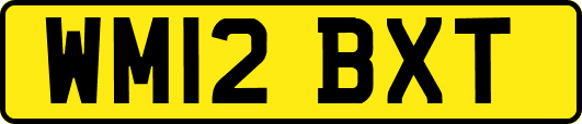 WM12BXT