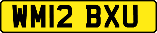 WM12BXU