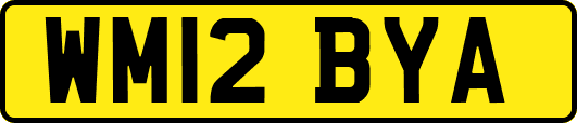 WM12BYA