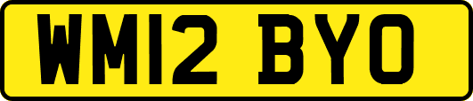 WM12BYO
