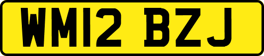 WM12BZJ