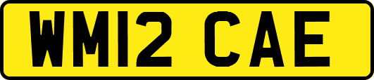WM12CAE