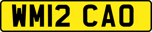 WM12CAO