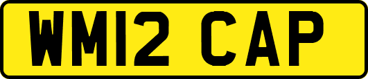 WM12CAP