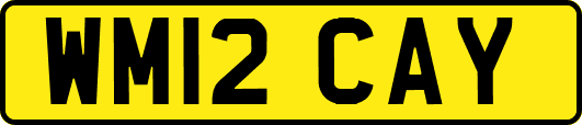 WM12CAY