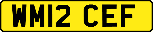 WM12CEF