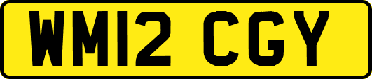 WM12CGY