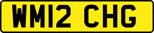WM12CHG
