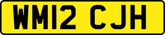 WM12CJH