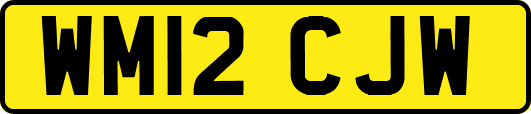 WM12CJW