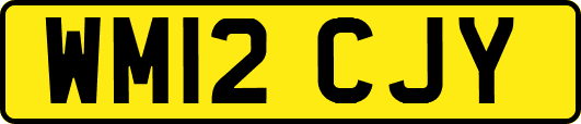 WM12CJY