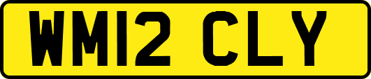 WM12CLY