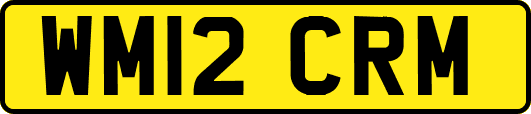 WM12CRM