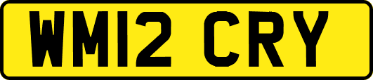 WM12CRY