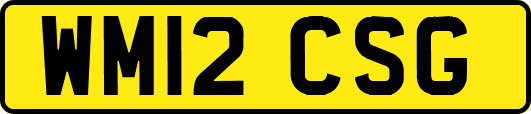 WM12CSG