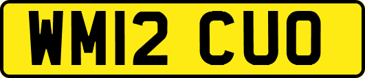 WM12CUO