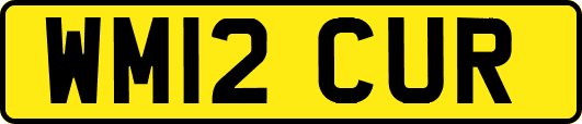 WM12CUR