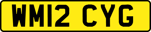 WM12CYG