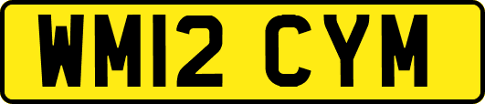 WM12CYM