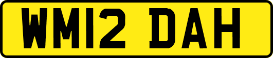 WM12DAH