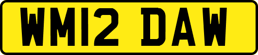 WM12DAW