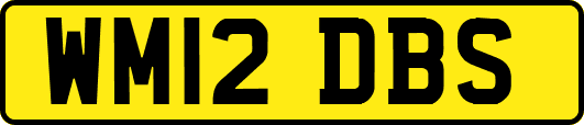 WM12DBS