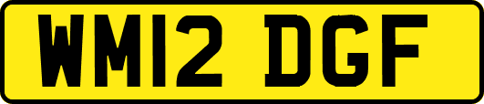 WM12DGF
