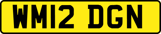 WM12DGN