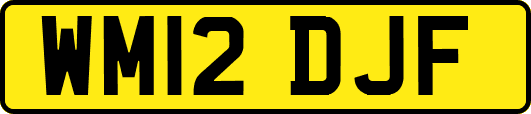 WM12DJF
