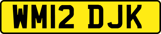 WM12DJK