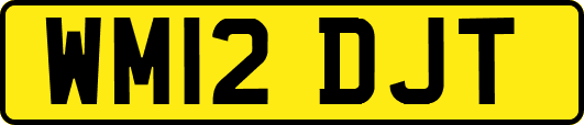 WM12DJT