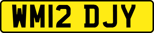 WM12DJY