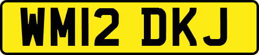 WM12DKJ