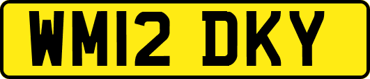 WM12DKY