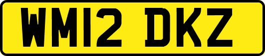 WM12DKZ