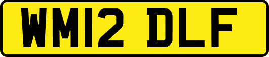 WM12DLF