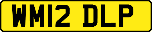 WM12DLP
