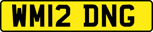 WM12DNG