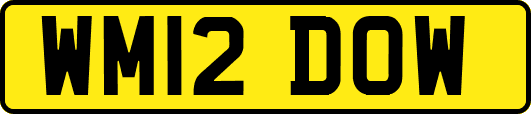 WM12DOW