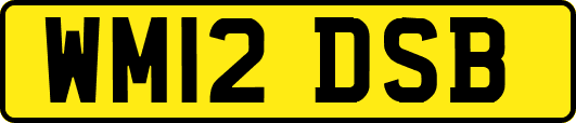 WM12DSB