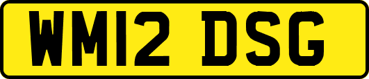 WM12DSG
