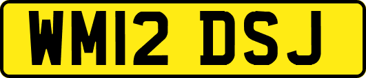 WM12DSJ