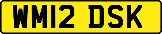 WM12DSK