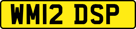 WM12DSP