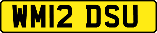 WM12DSU