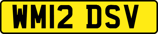 WM12DSV