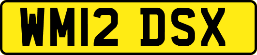 WM12DSX