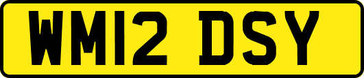 WM12DSY