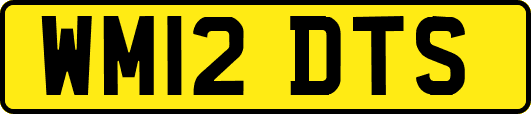 WM12DTS
